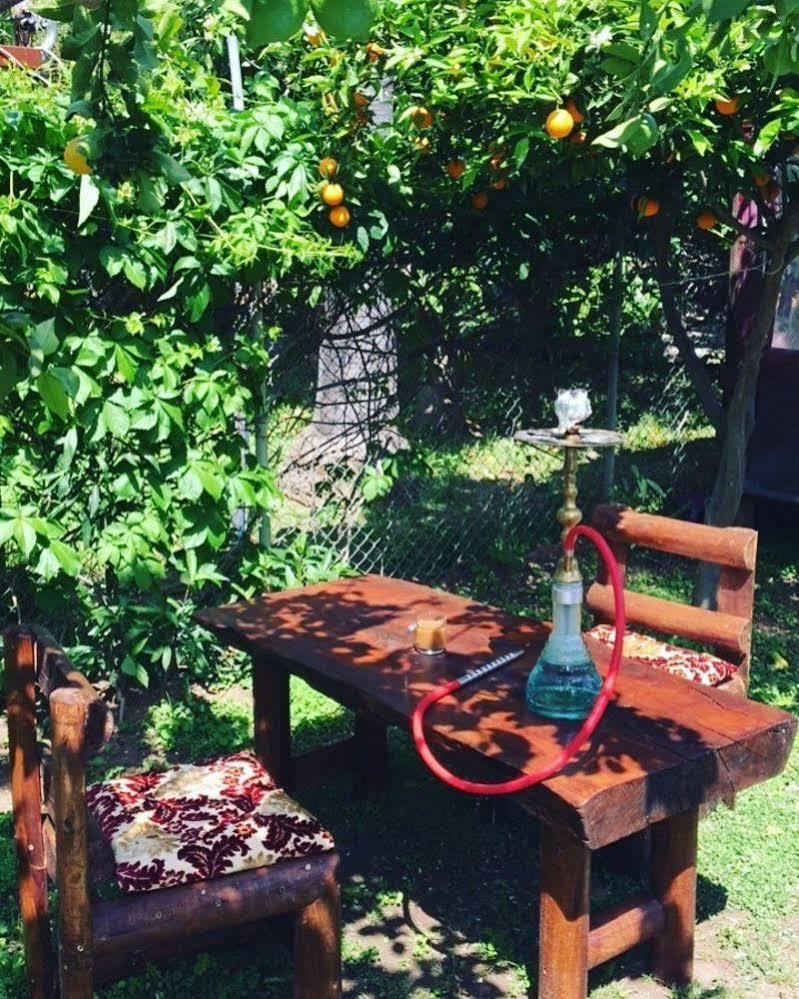 Alican Pension Çıralı Εξωτερικό φωτογραφία
