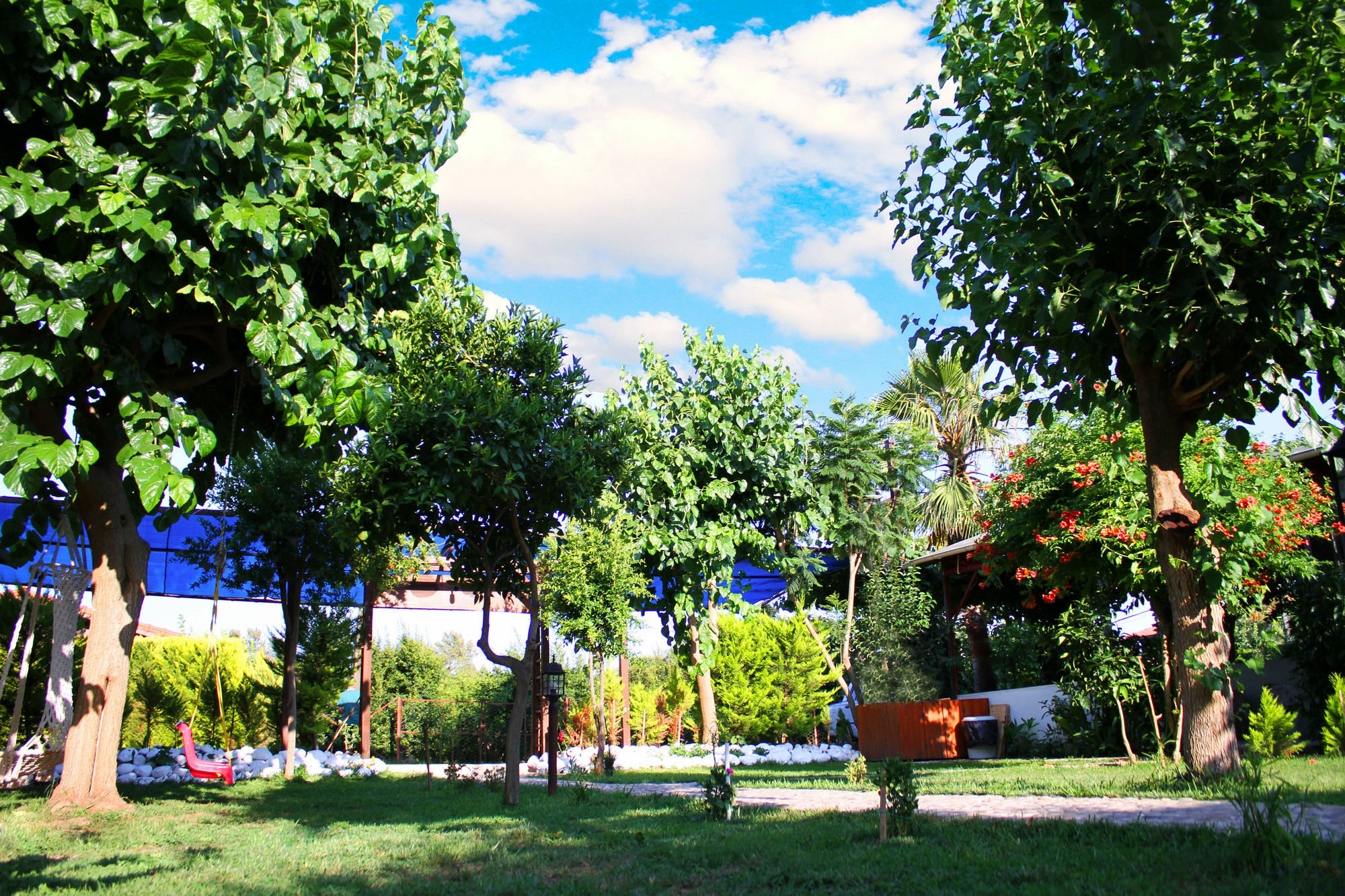 Alican Pension Çıralı Εξωτερικό φωτογραφία