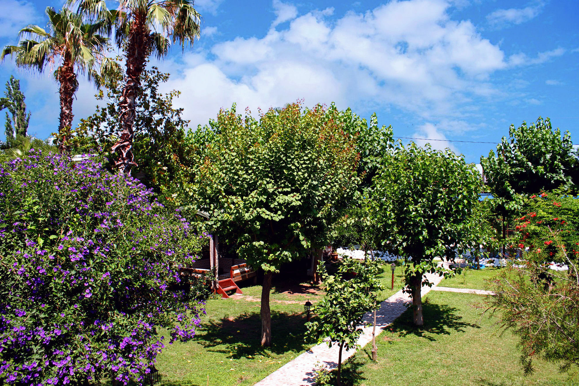 Alican Pension Çıralı Εξωτερικό φωτογραφία