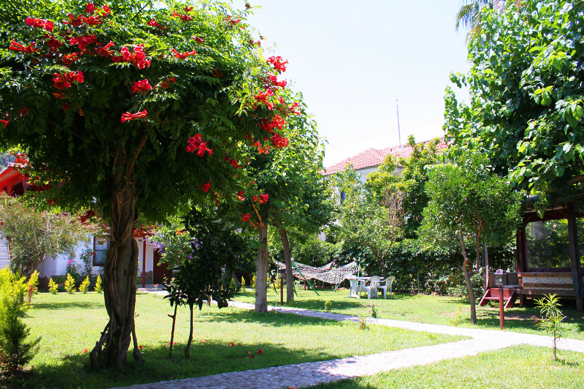 Alican Pension Çıralı Εξωτερικό φωτογραφία